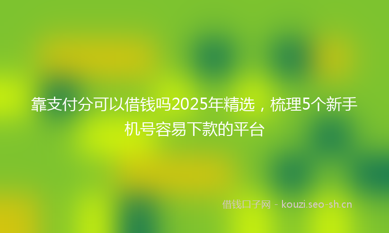 靠支付分可以借钱吗2025年精选，梳理5个新手机号容易下款的平台