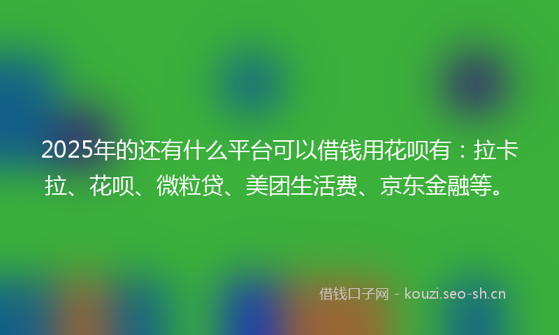 2025年的还有什么平台可以借钱用花呗有：拉卡拉、花呗、微粒贷、美团生活费、京东金融等。