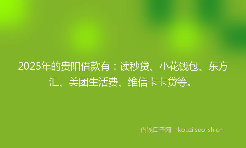 2025年的贵阳借款有：读秒贷、小花钱包、东方汇、美团生活费、维信卡卡贷等。