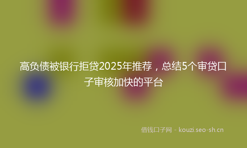 高负债被银行拒贷2025年推荐，总结5个审贷口子审核加快的平台