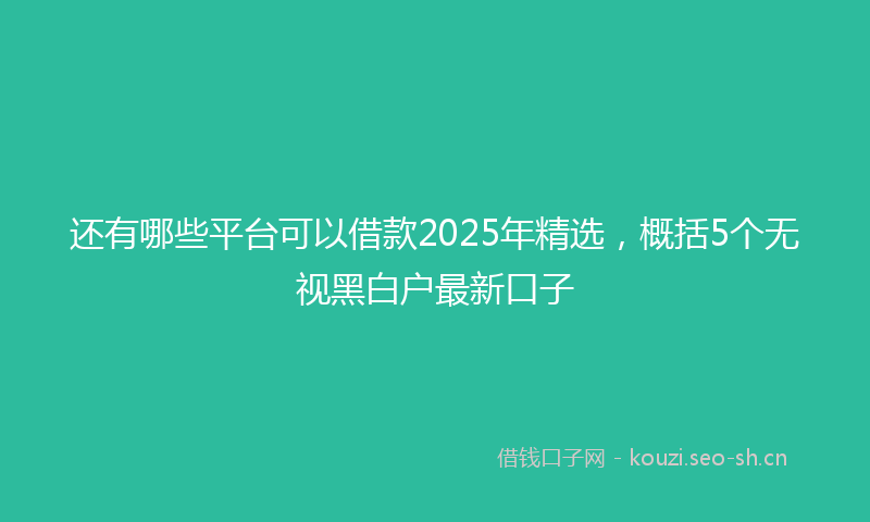 还有哪些平台可以借款2025年精选，概括5个无视黑白户最新口子
