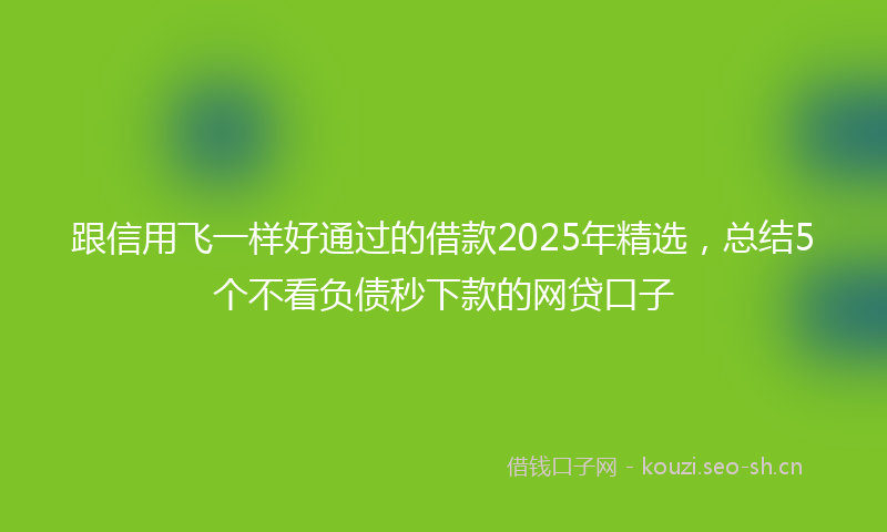 跟信用飞一样好通过的借款2025年精选，总结5个不看负债秒下款的网贷口子