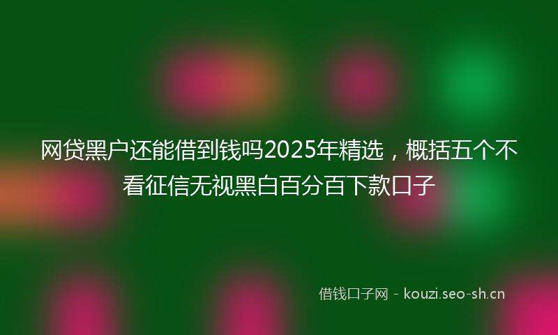 网贷黑户还能借到钱吗2025年精选，概括五个不看征信无视黑白百分百下款口子