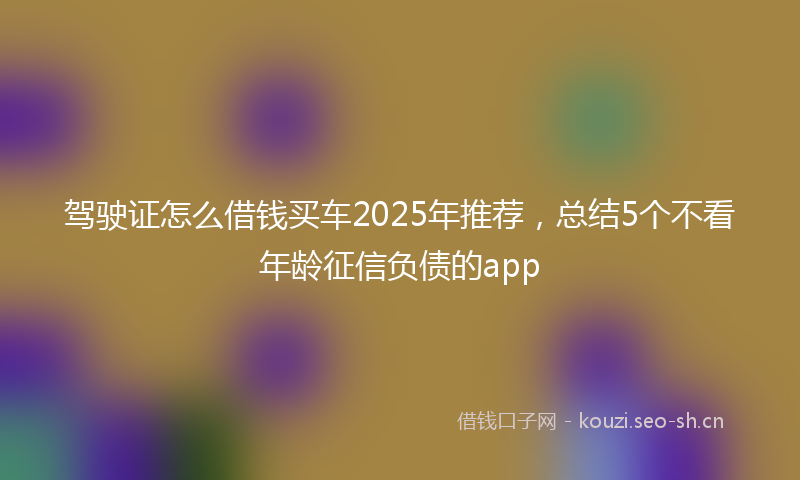 驾驶证怎么借钱买车2025年推荐，总结5个不看年龄征信负债的app