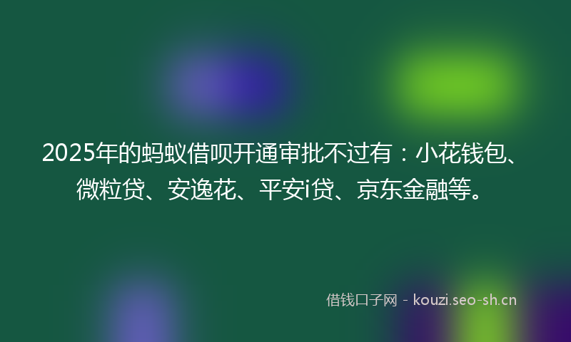 2025年的蚂蚁借呗开通审批不过有：小花钱包、微粒贷、安逸花、平安i贷、京东金融等。