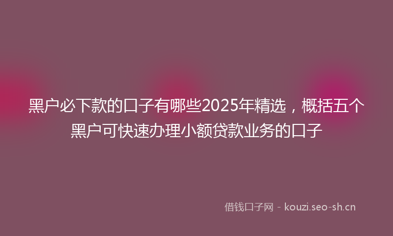 黑户必下款的口子有哪些2025年精选，概括五个黑户可快速办理小额贷款业务的口子