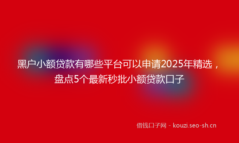 黑户小额贷款有哪些平台可以申请2025年精选，盘点5个最新秒批小额贷款口子