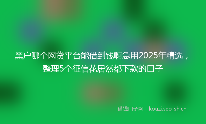 黑户哪个网贷平台能借到钱啊急用2025年精选，整理5个征信花居然都下款的口子