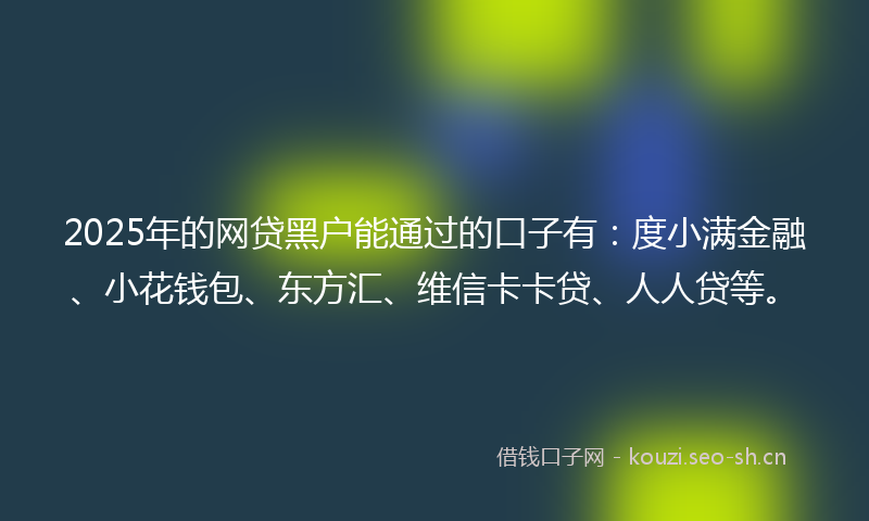 2025年的网贷黑户能通过的口子有：度小满金融、小花钱包、东方汇、维信卡卡贷、人人贷等。