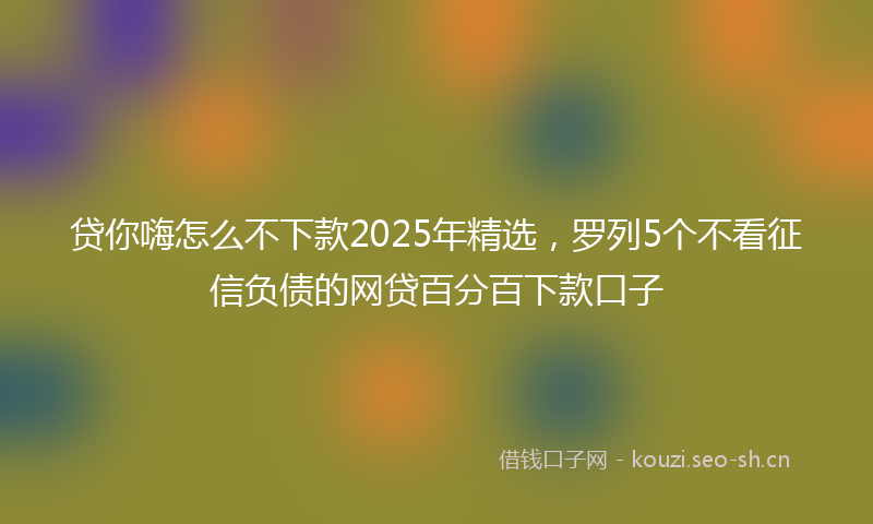 贷你嗨怎么不下款2025年精选，罗列5个不看征信负债的网贷百分百下款口子
