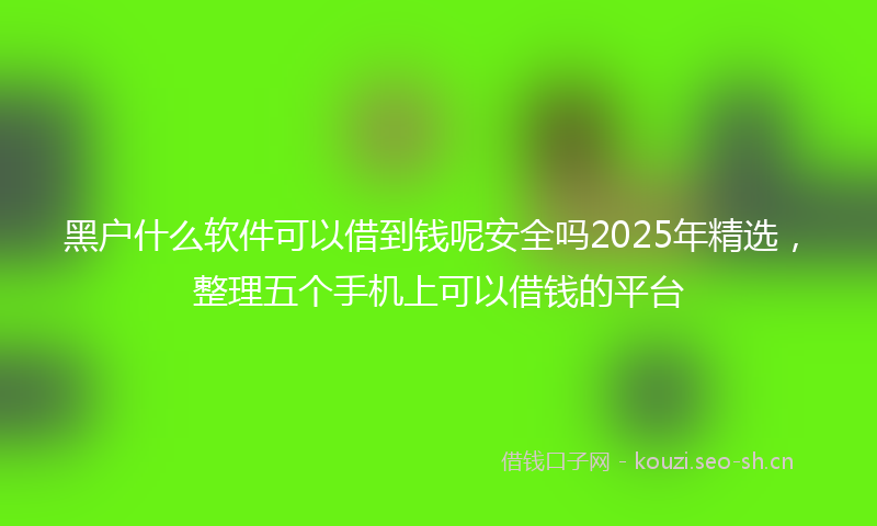 黑户什么软件可以借到钱呢安全吗2025年精选，整理五个手机上可以借钱的平台