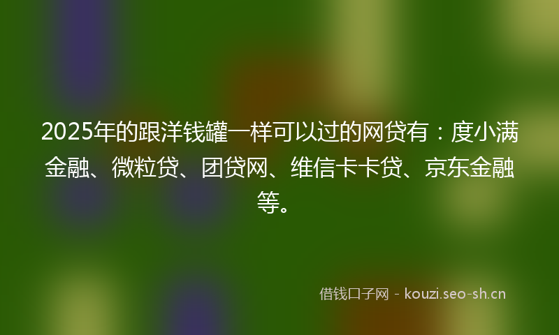 2025年的跟洋钱罐一样可以过的网贷有：度小满金融、微粒贷、团贷网、维信卡卡贷、京东金融等。