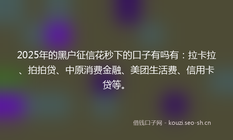 2025年的黑户征信花秒下的口子有吗有：拉卡拉、拍拍贷、中原消费金融、美团生活费、信用卡贷等。