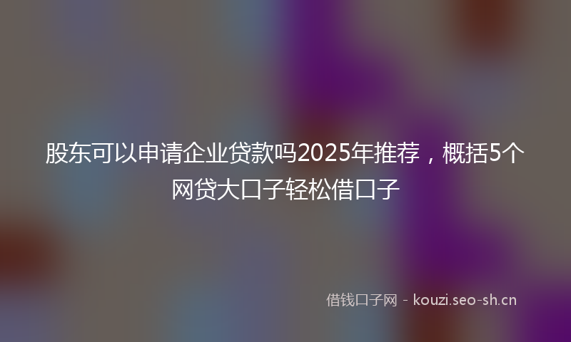 股东可以申请企业贷款吗2025年推荐，概括5个网贷大口子轻松借口子