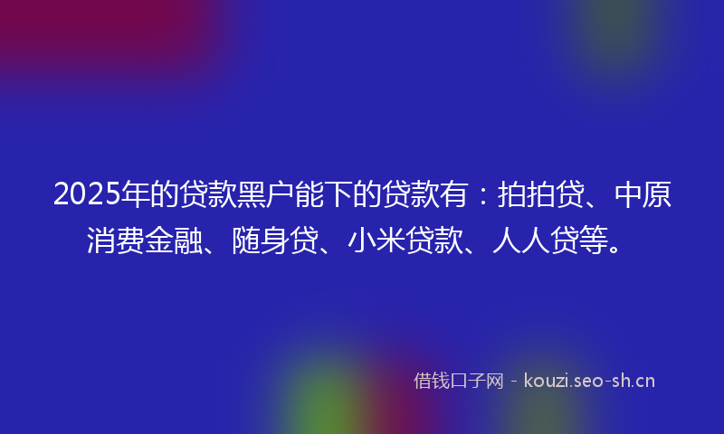 2025年的贷款黑户能下的贷款有：拍拍贷、中原消费金融、随身贷、小米贷款、人人贷等。