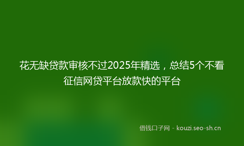 花无缺贷款审核不过2025年精选，总结5个不看征信网贷平台放款快的平台