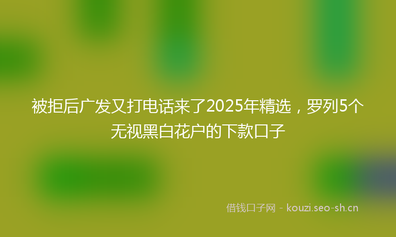 被拒后广发又打电话来了2025年精选，罗列5个无视黑白花户的下款口子
