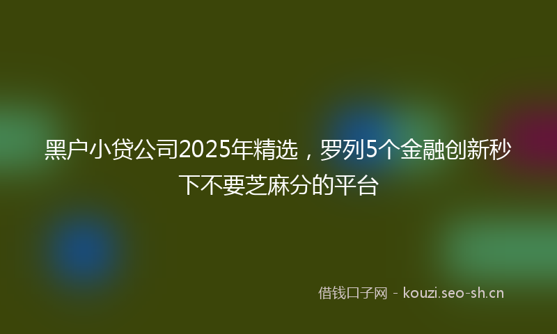 黑户小贷公司2025年精选，罗列5个金融创新秒下不要芝麻分的平台