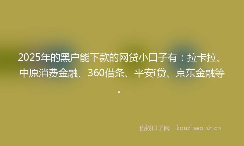 2025年的黑户能下款的网贷小口子有：拉卡拉、中原消费金融、360借条、平安i贷、京东金融等。