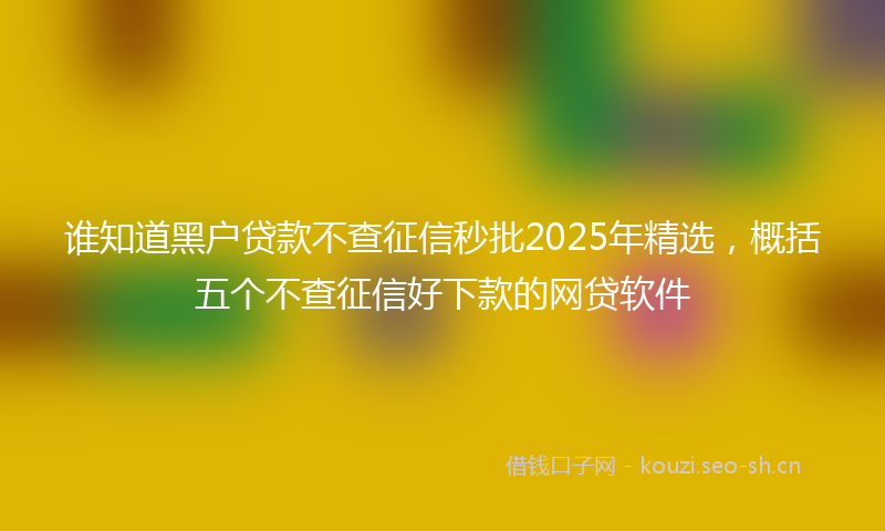 谁知道黑户贷款不查征信秒批2025年精选，概括五个不查征信好下款的网贷软件