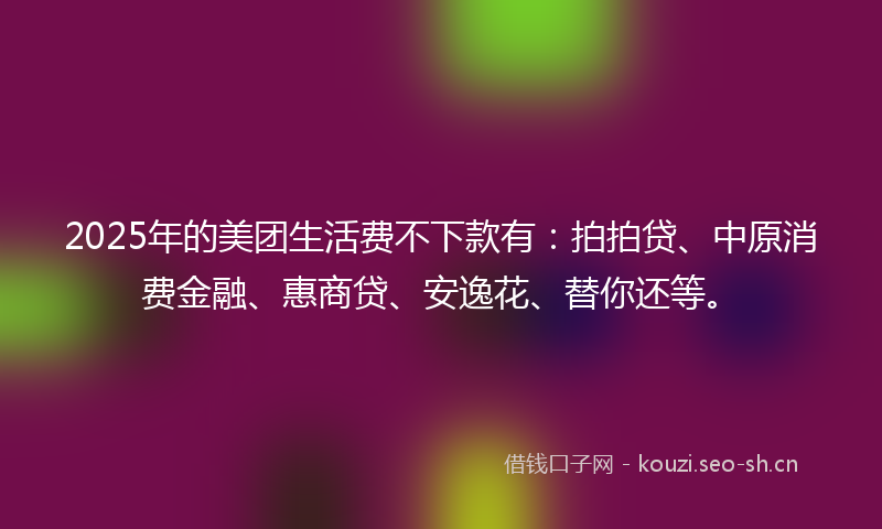 2025年的美团生活费不下款有：拍拍贷、中原消费金融、惠商贷、安逸花、替你还等。