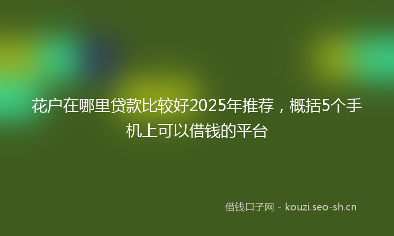 花户在哪里贷款比较好2025年推荐，概括5个手机上可以借钱的平台