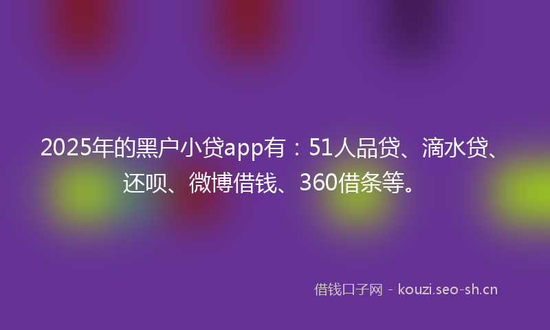 2025年的黑户小贷app有：51人品贷、滴水贷、还呗、微博借钱、360借条等。