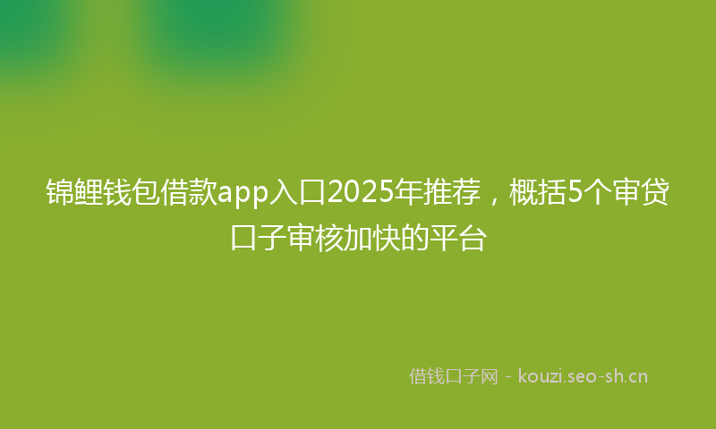 锦鲤钱包借款app入口2025年推荐，概括5个审贷口子审核加快的平台