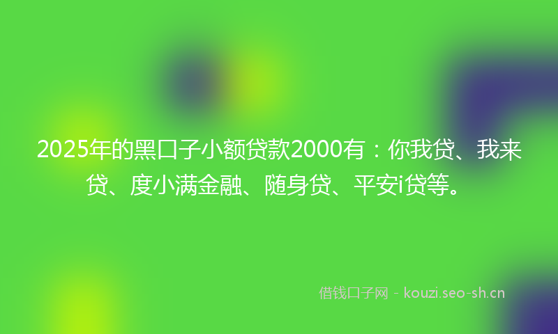 2025年的黑口子小额贷款2000有：你我贷、我来贷、度小满金融、随身贷、平安i贷等。
