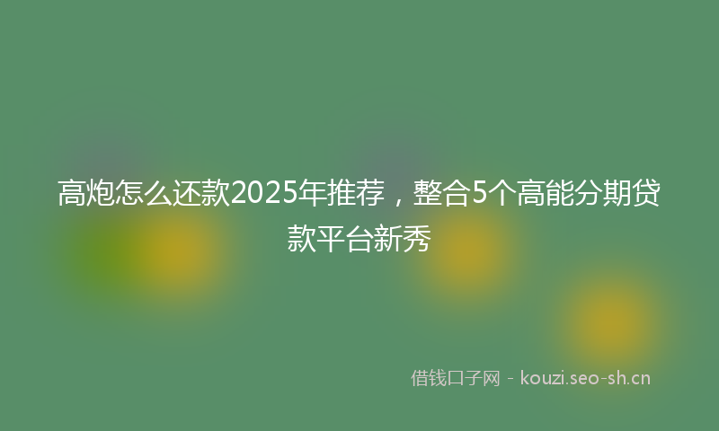 高炮怎么还款2025年推荐，整合5个高能分期贷款平台新秀