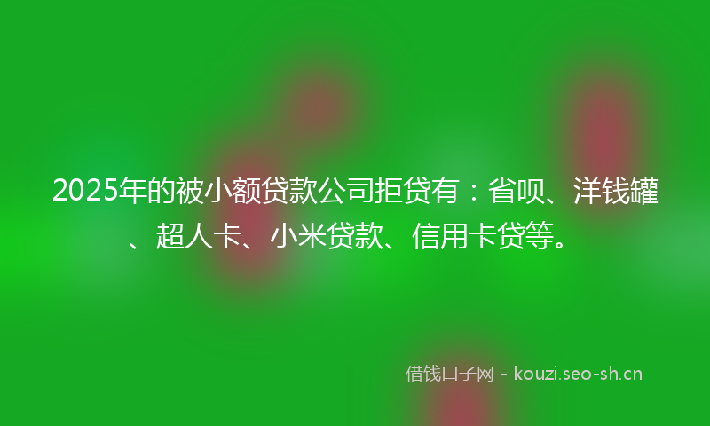 2025年的被小额贷款公司拒贷有：省呗、洋钱罐、超人卡、小米贷款、信用卡贷等。