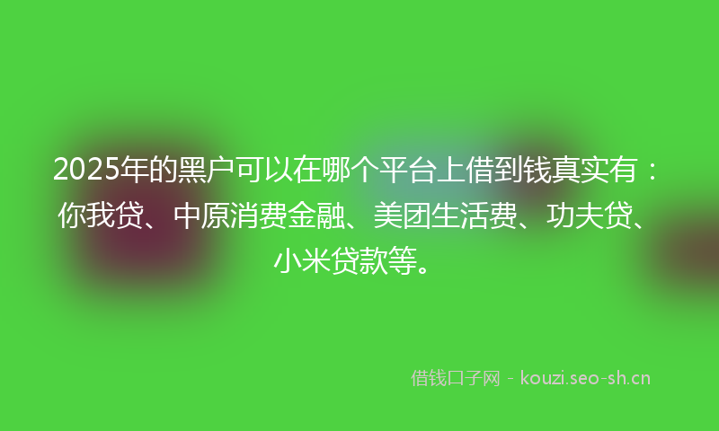 2025年的黑户可以在哪个平台上借到钱真实有：你我贷、中原消费金融、美团生活费、功夫贷、小米贷款等。