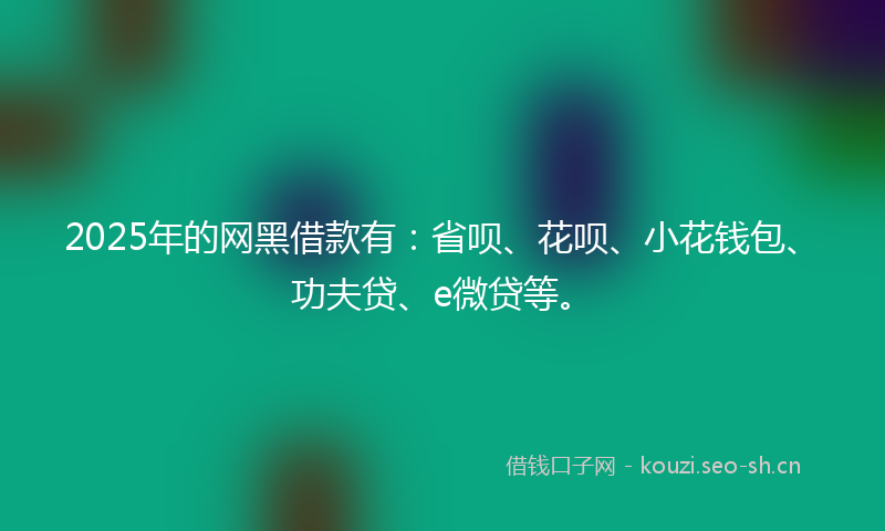 2025年的网黑借款有：省呗、花呗、小花钱包、功夫贷、e微贷等。