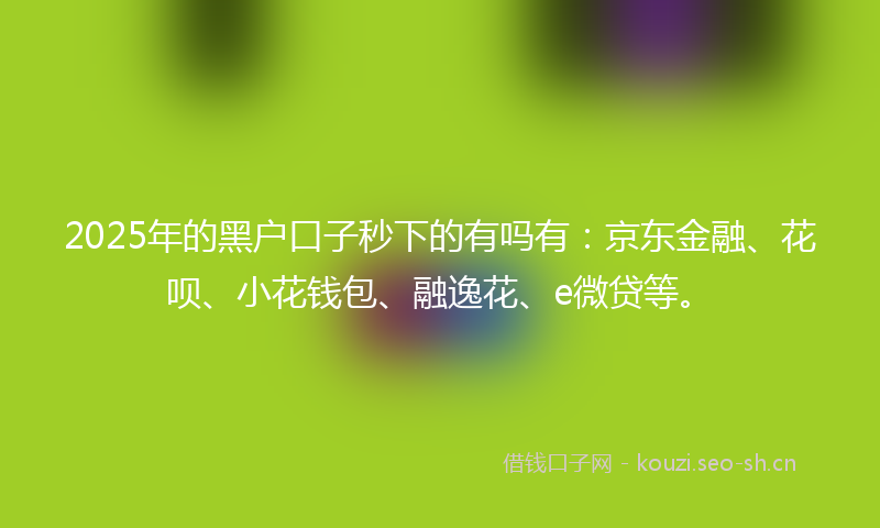 2025年的黑户口子秒下的有吗有：京东金融、花呗、小花钱包、融逸花、e微贷等。