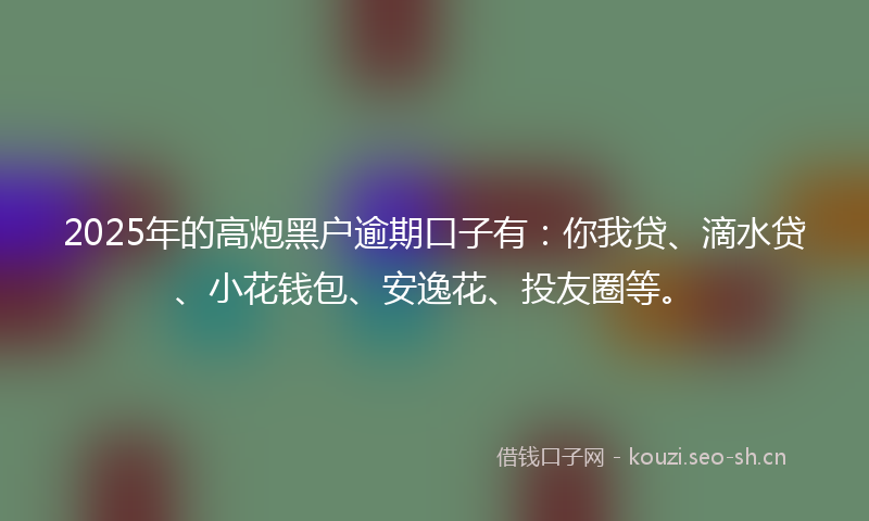 2025年的高炮黑户逾期口子有：你我贷、滴水贷、小花钱包、安逸花、投友圈等。