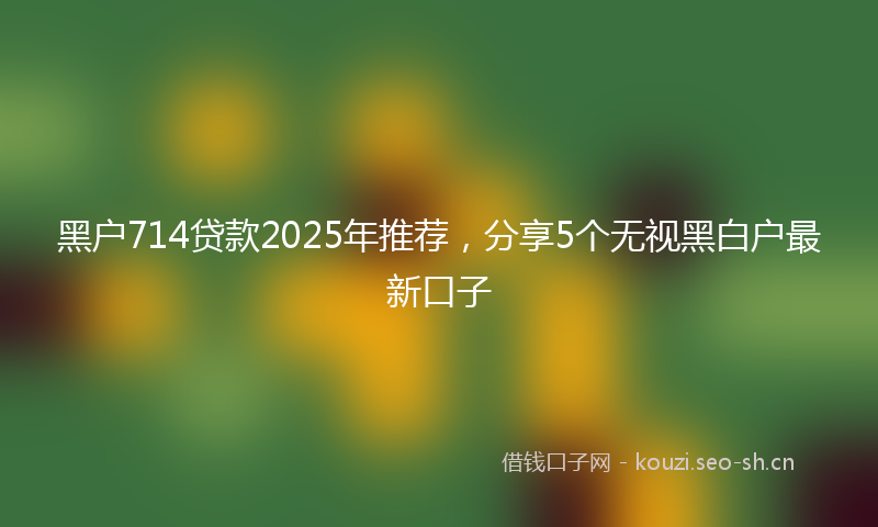 黑户714贷款2025年推荐，分享5个无视黑白户最新口子