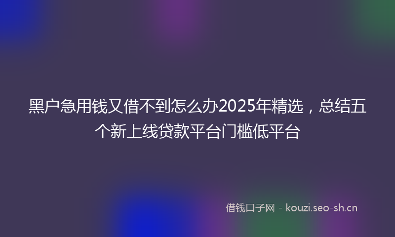 黑户急用钱又借不到怎么办2025年精选，总结五个新上线贷款平台门槛低平台