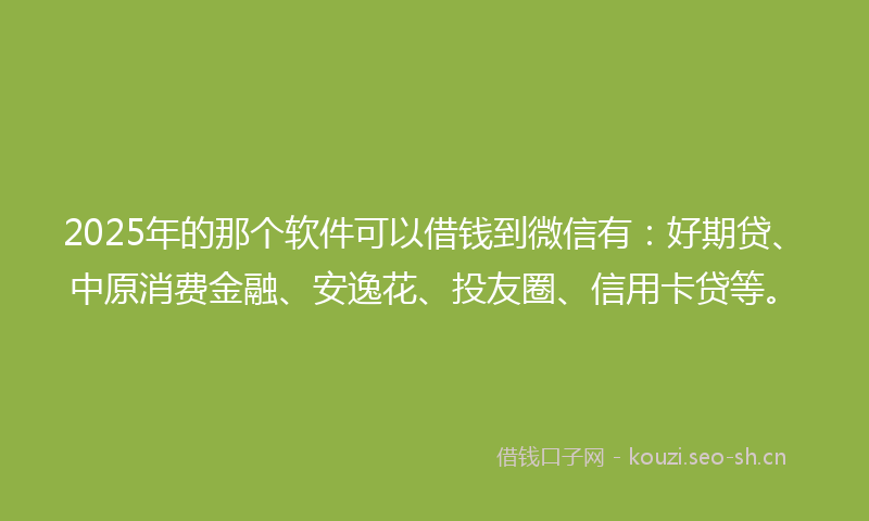 2025年的那个软件可以借钱到微信有：好期贷、中原消费金融、安逸花、投友圈、信用卡贷等。