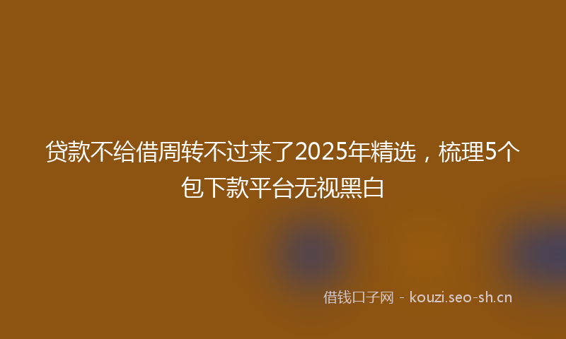 贷款不给借周转不过来了2025年精选，梳理5个包下款平台无视黑白