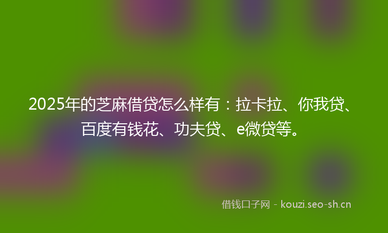 2025年的芝麻借贷怎么样有：拉卡拉、你我贷、百度有钱花、功夫贷、e微贷等。