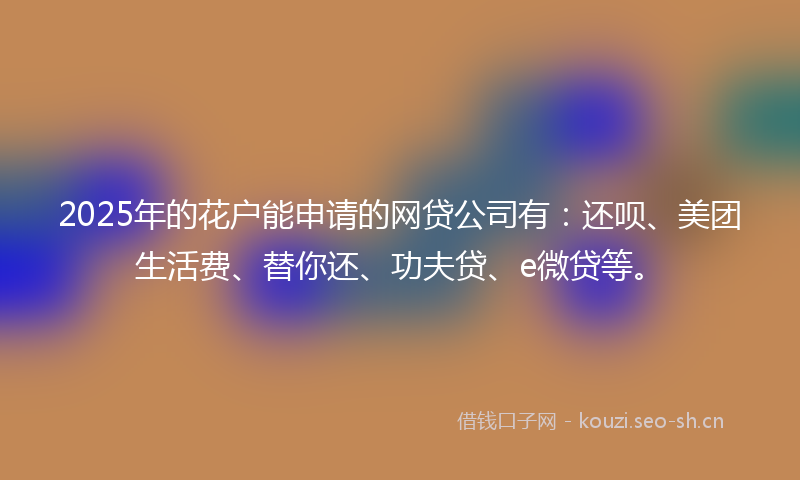 2025年的花户能申请的网贷公司有：还呗、美团生活费、替你还、功夫贷、e微贷等。