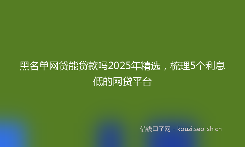 黑名单网贷能贷款吗2025年精选，梳理5个利息低的网贷平台