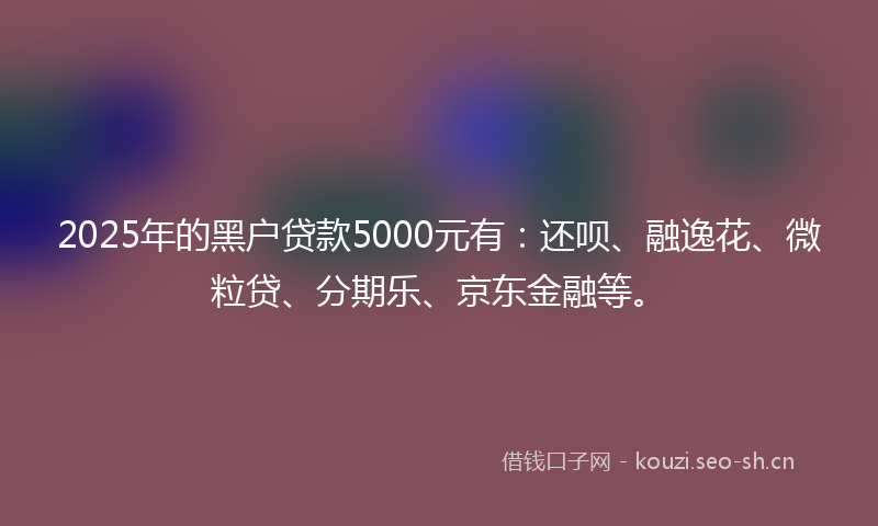 2025年的黑户贷款5000元有：还呗、融逸花、微粒贷、分期乐、京东金融等。
