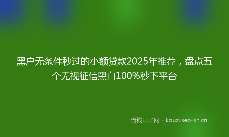 黑户无条件秒过的小额贷款2025年推荐，盘点五个无视征信黑白100%秒下平台