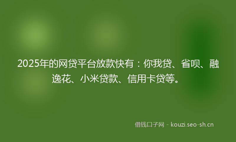2025年的网贷平台放款快有：你我贷、省呗、融逸花、小米贷款、信用卡贷等。