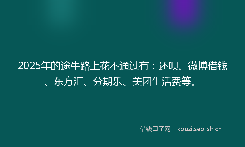 2025年的途牛路上花不通过有：还呗、微博借钱、东方汇、分期乐、美团生活费等。