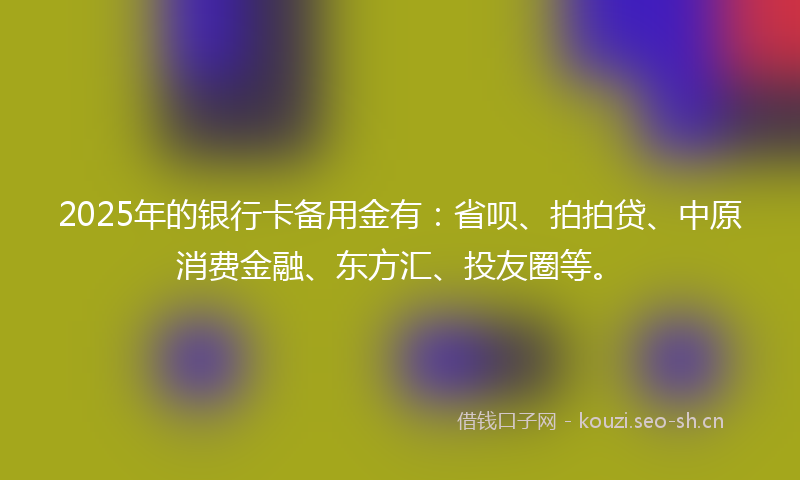 2025年的银行卡备用金有：省呗、拍拍贷、中原消费金融、东方汇、投友圈等。