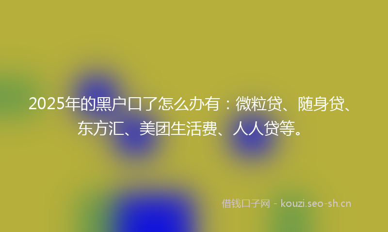 2025年的黑户口了怎么办有：微粒贷、随身贷、东方汇、美团生活费、人人贷等。