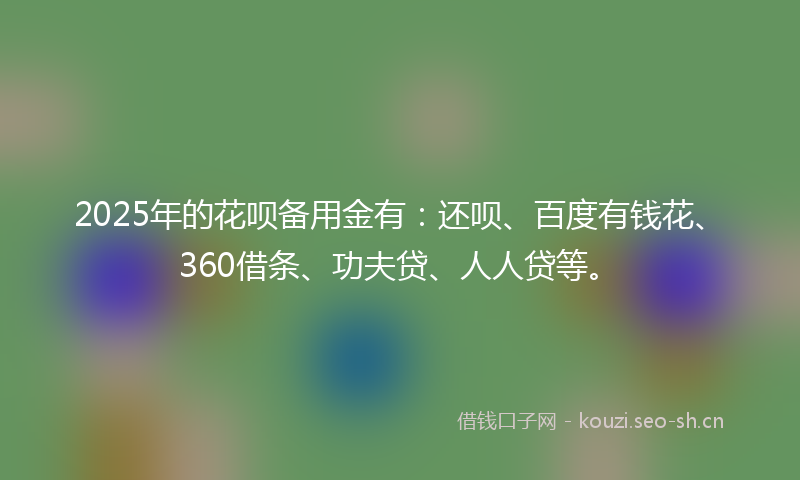 2025年的花呗备用金有：还呗、百度有钱花、360借条、功夫贷、人人贷等。