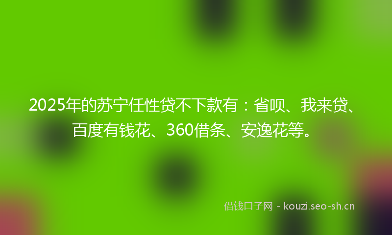 2025年的苏宁任性贷不下款有：省呗、我来贷、百度有钱花、360借条、安逸花等。